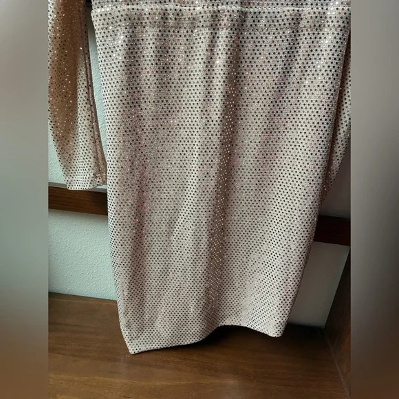NWT IRO LouLou Sequin Dress in Blush Pink (Size:38/6) - Picture 13 of 15